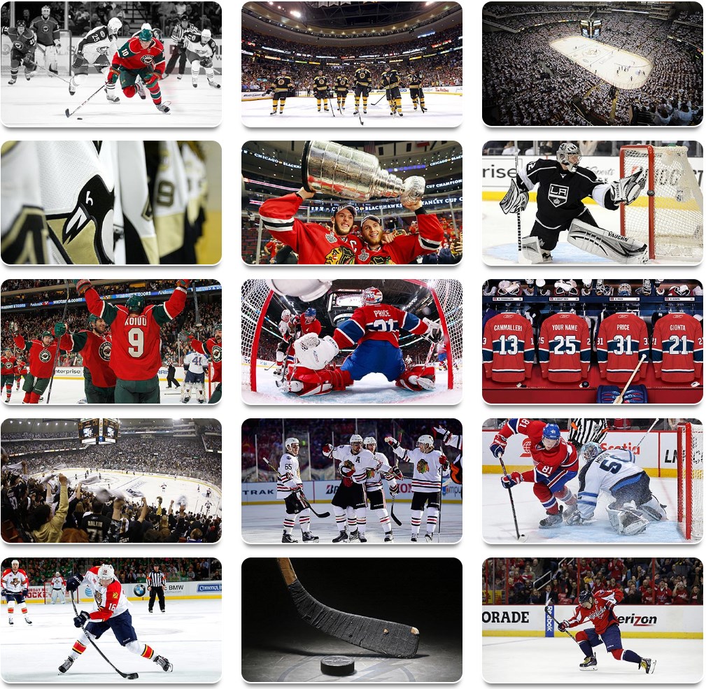 国家冰球联盟（NHL）高清壁纸